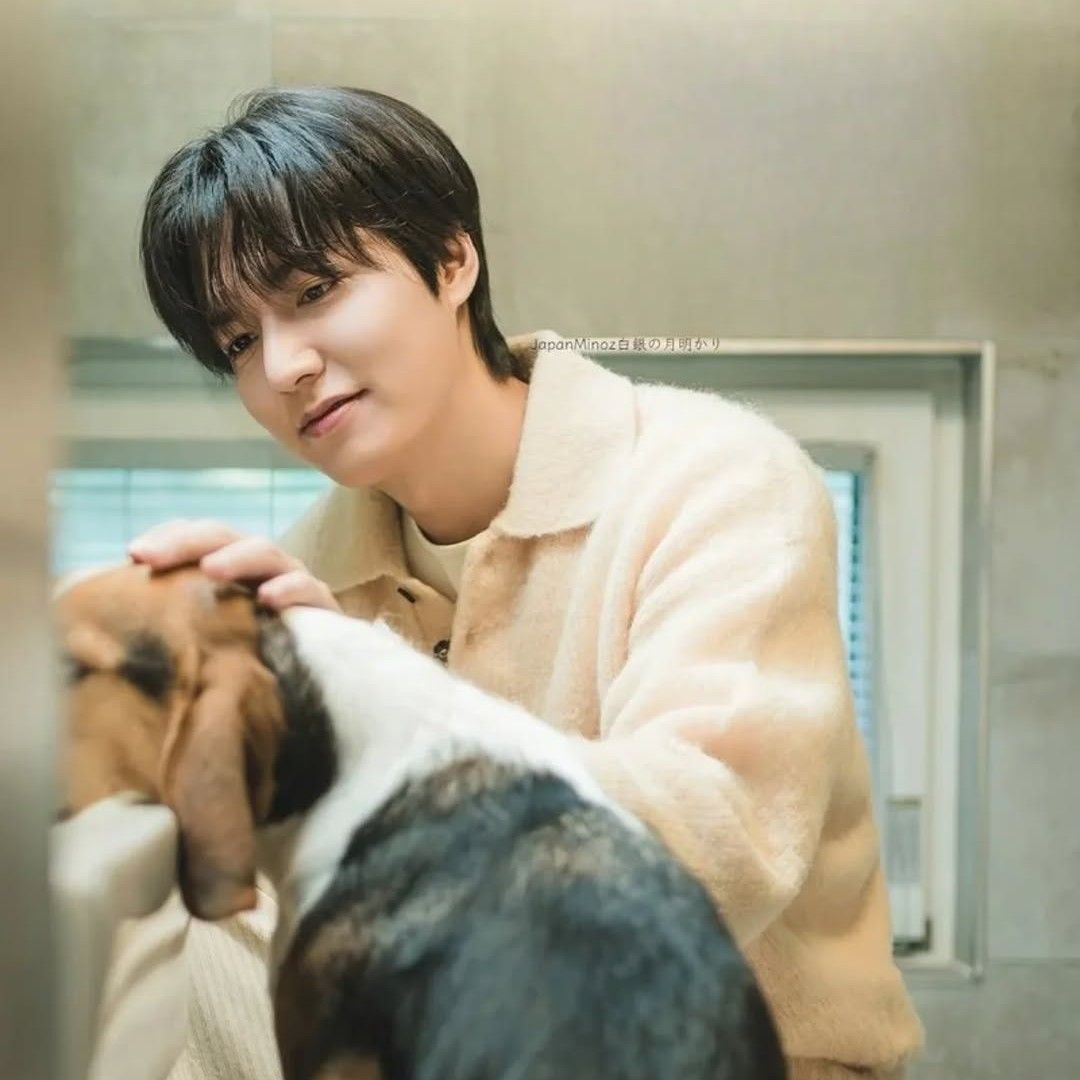 Momen yang diabadikan oleh penggemar Lee Minho