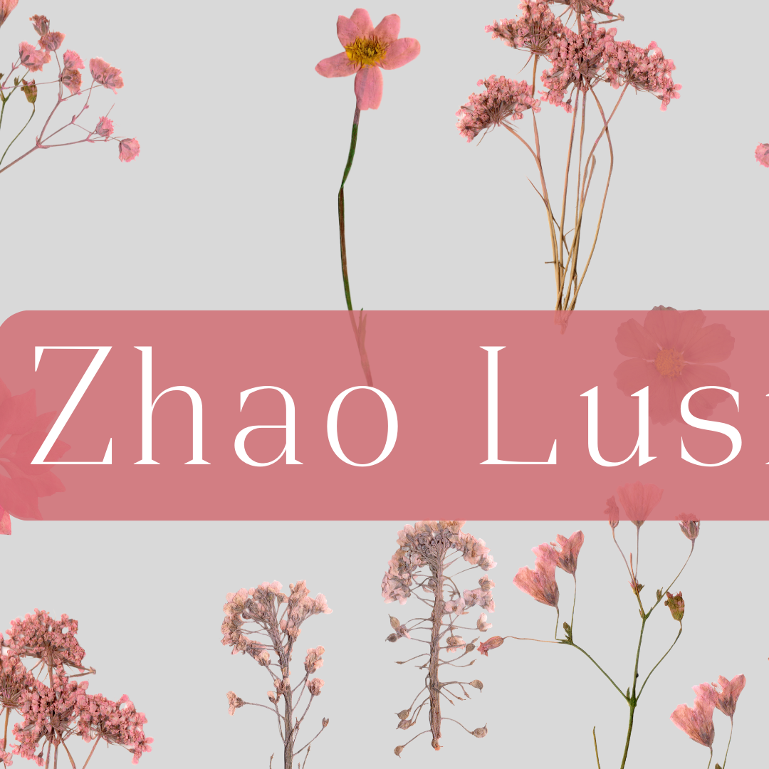 A moment captured by a fan of Zhao Lusi