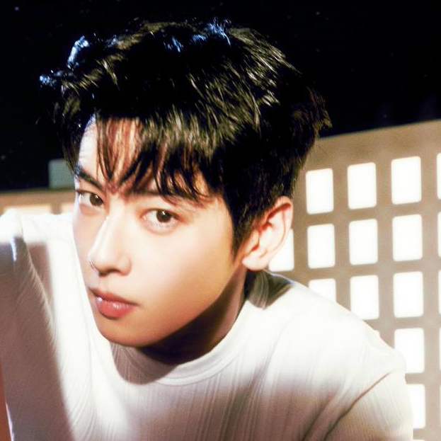 A moment captured by a fan of Cha Eunwoo