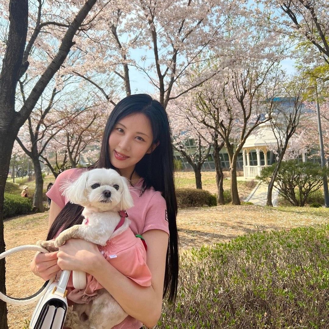 Latest photo of Seohyun