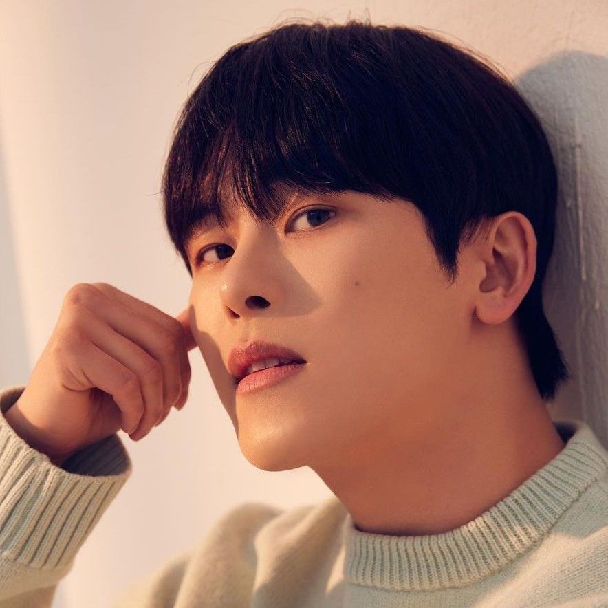 A moment captured by a fan of Hoya