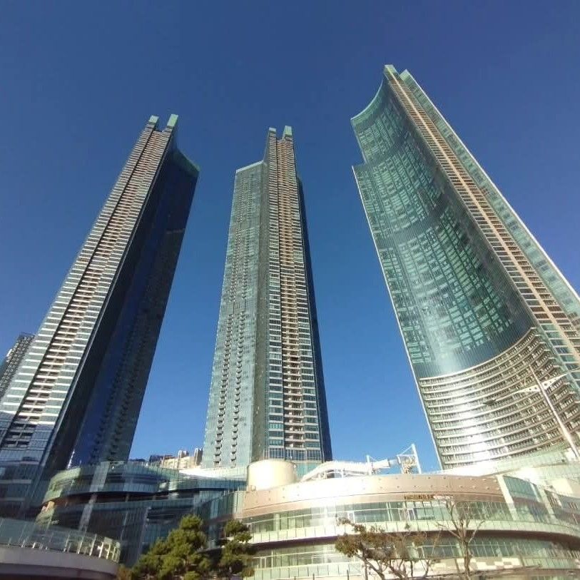 이민호 팬이 찍은 순간