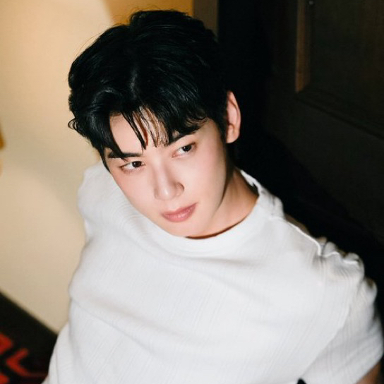 Recent activity shot of Cha Eunwoo