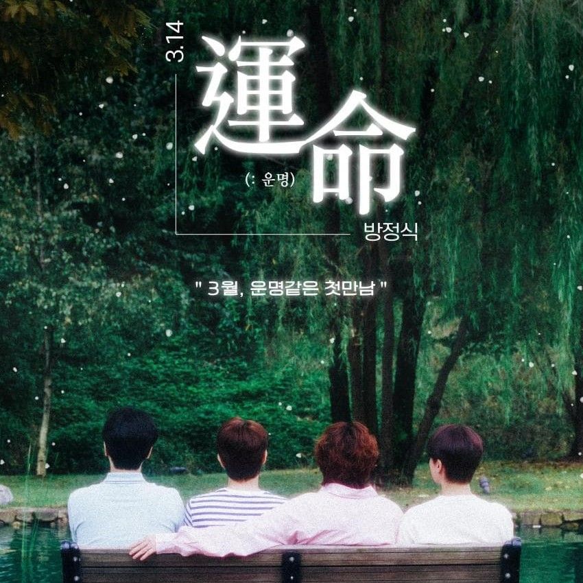 粉丝拍下的Forestella瞬间