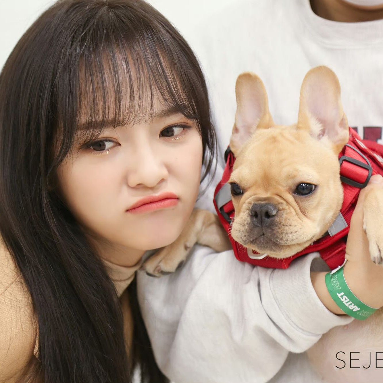 Recent activity shot of Kim Sejeong