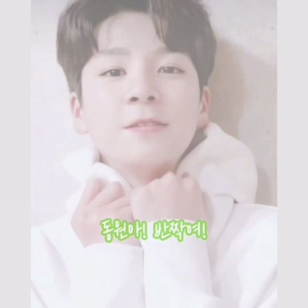 鄭東元的幕後花絮