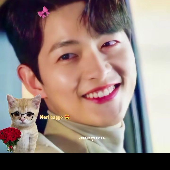 宋仲基的近期活動照