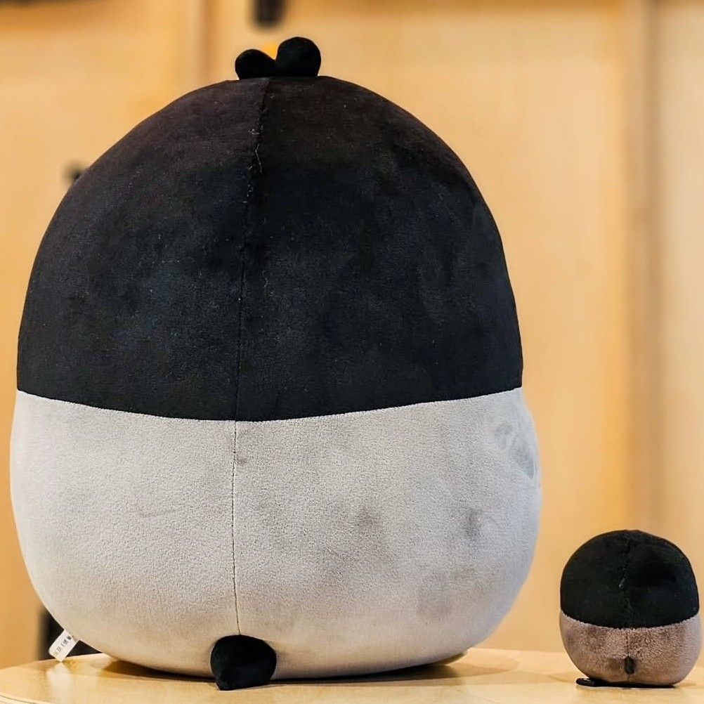 Latest photo of Pengsoo