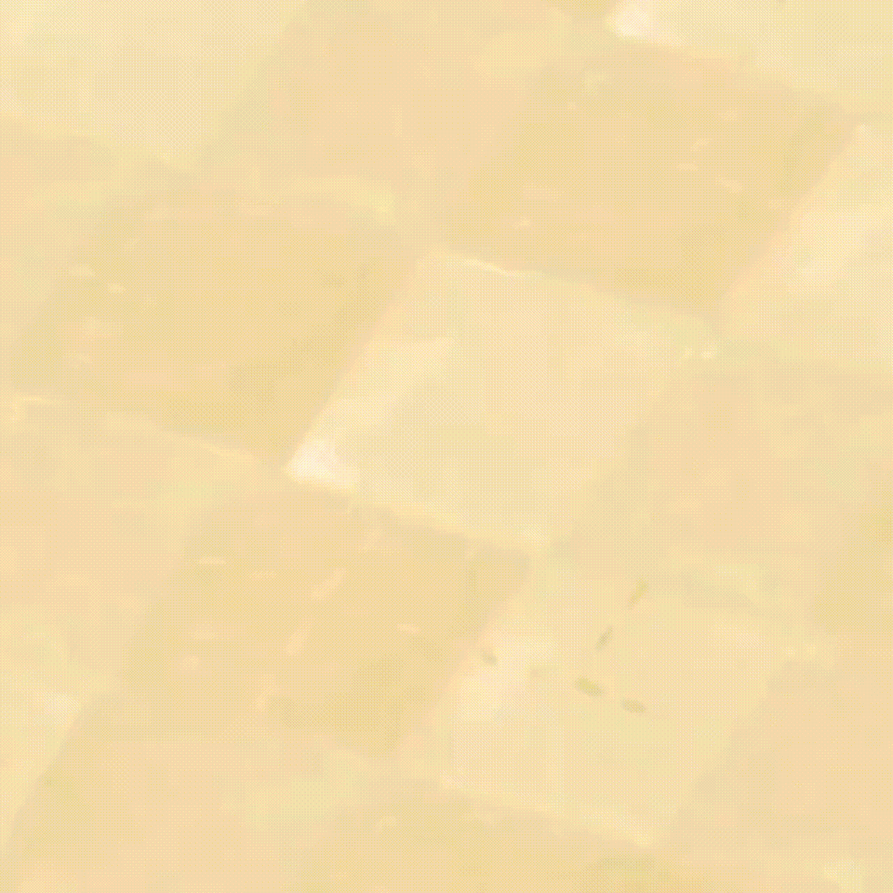 Behind-the-scenes cut of Jisoo (1995)