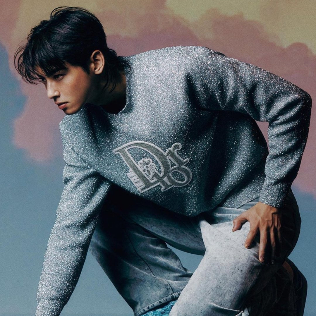 A moment captured by a fan of Cha Eunwoo