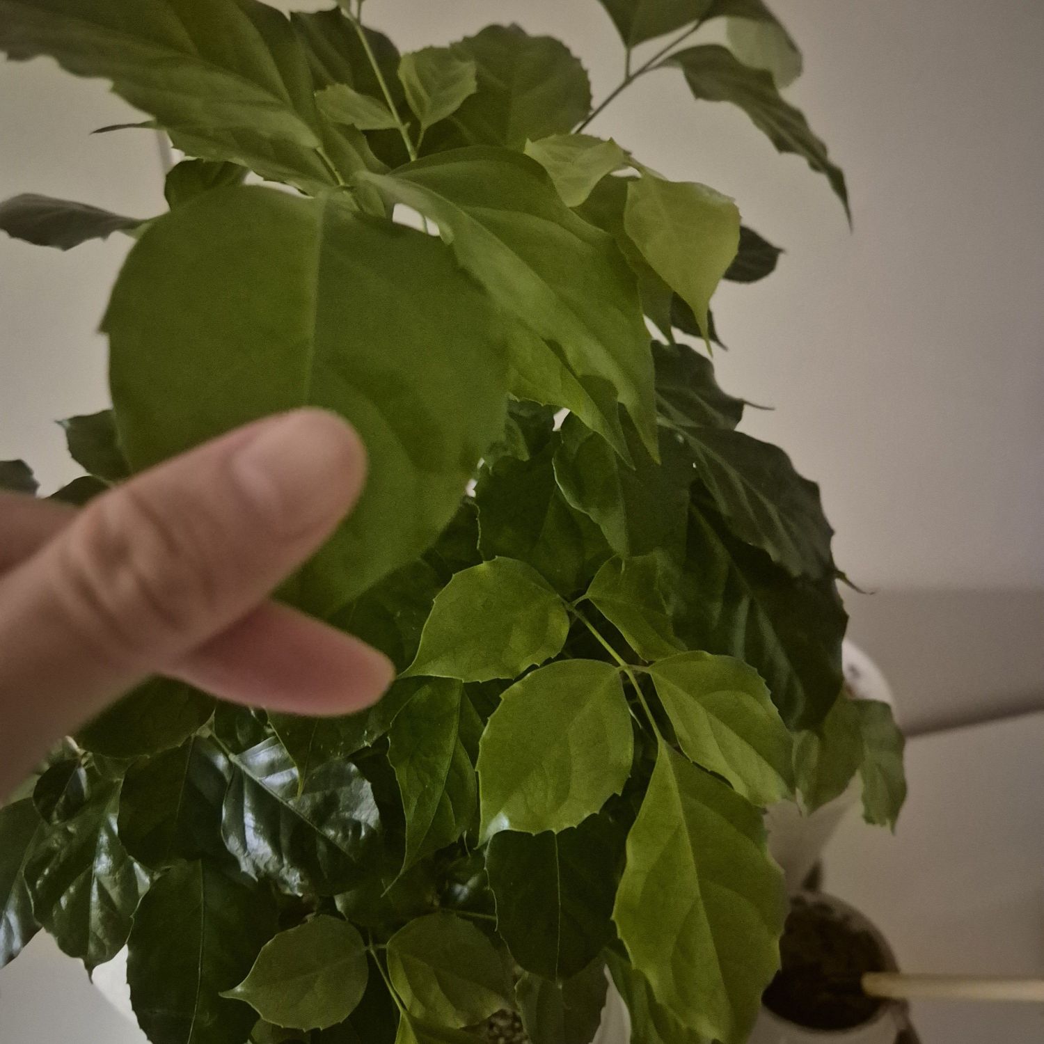 粉絲拍下的徐睿知瞬間