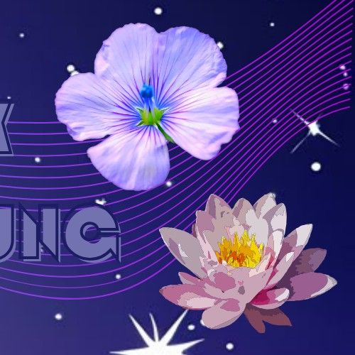 박보영 팬이 찍은 순간