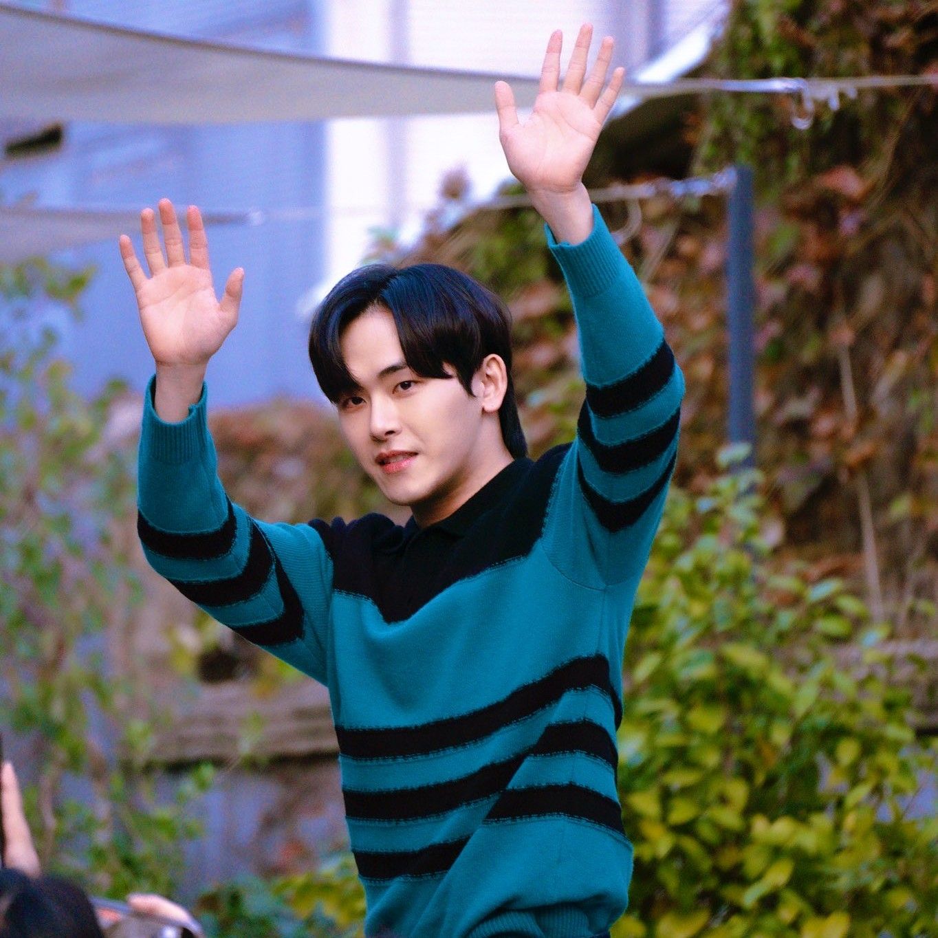 Recent activity shot of Hoya