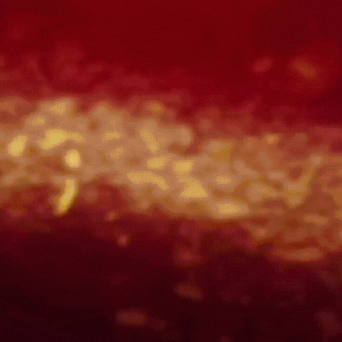 朴敏英的最新照片