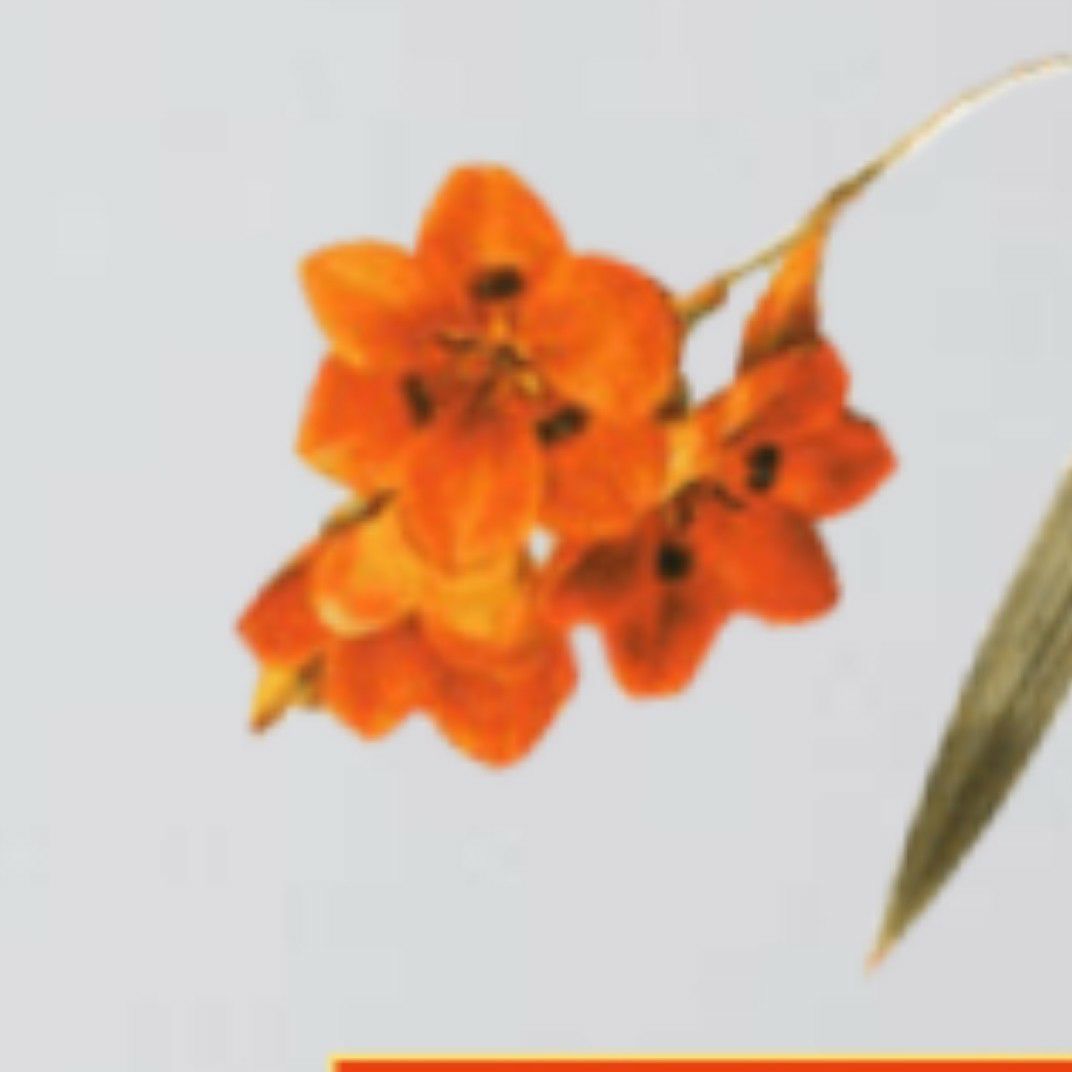 Foto terbaru dari Moon Chaewon