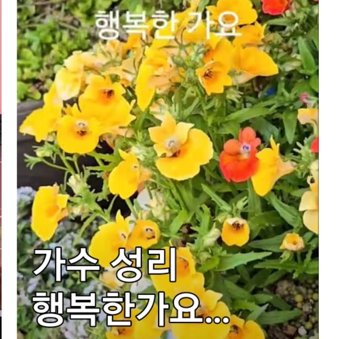 Latest photo of Seong Ri