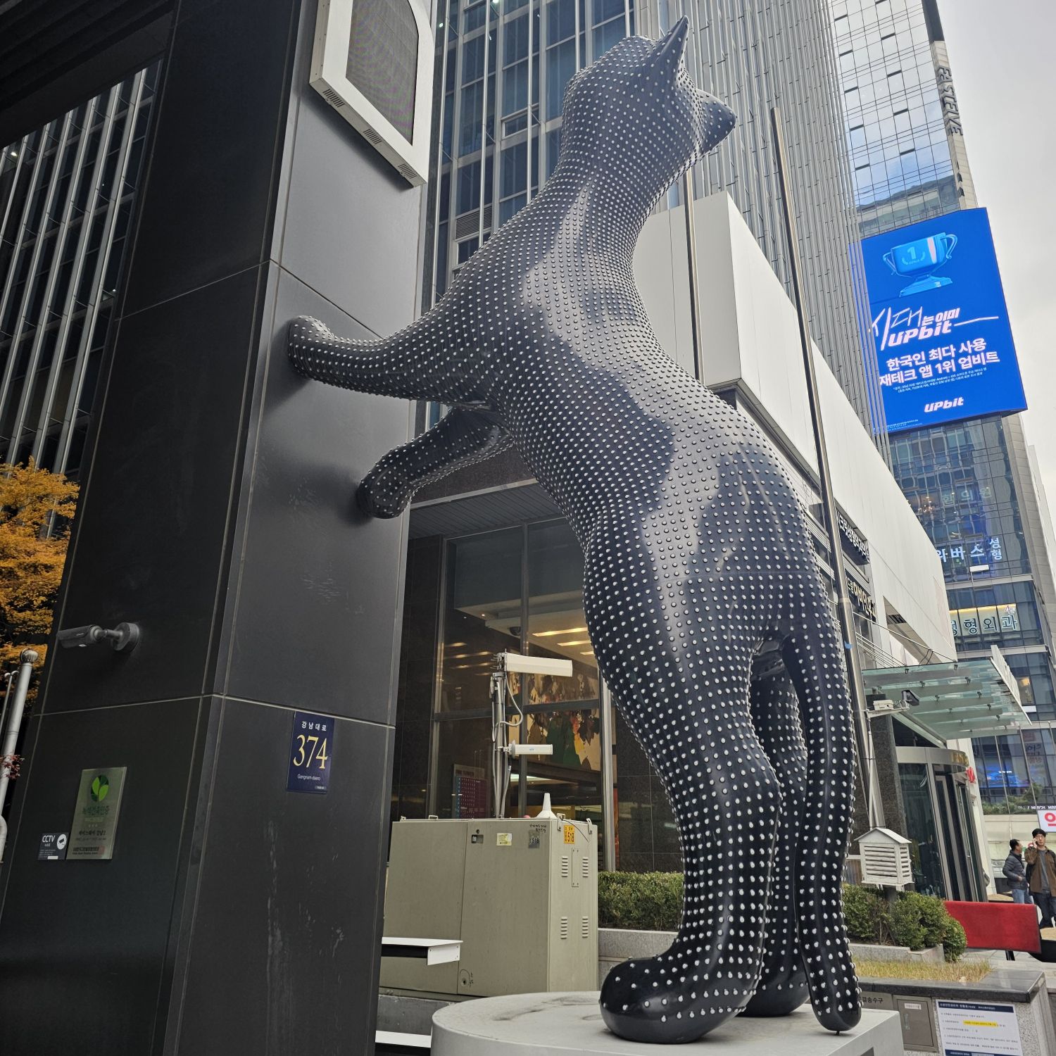 조명섭 팬이 찍은 순간