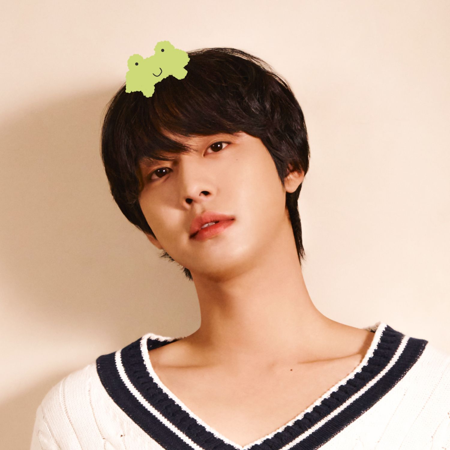 安孝燮的最新照片