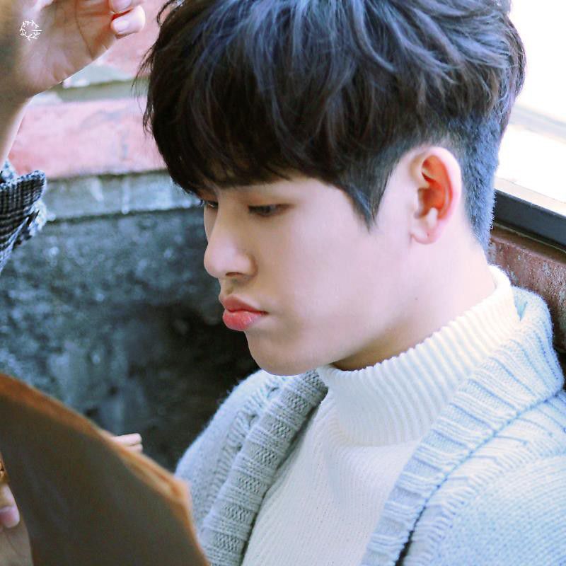 Latest photo of Hoya