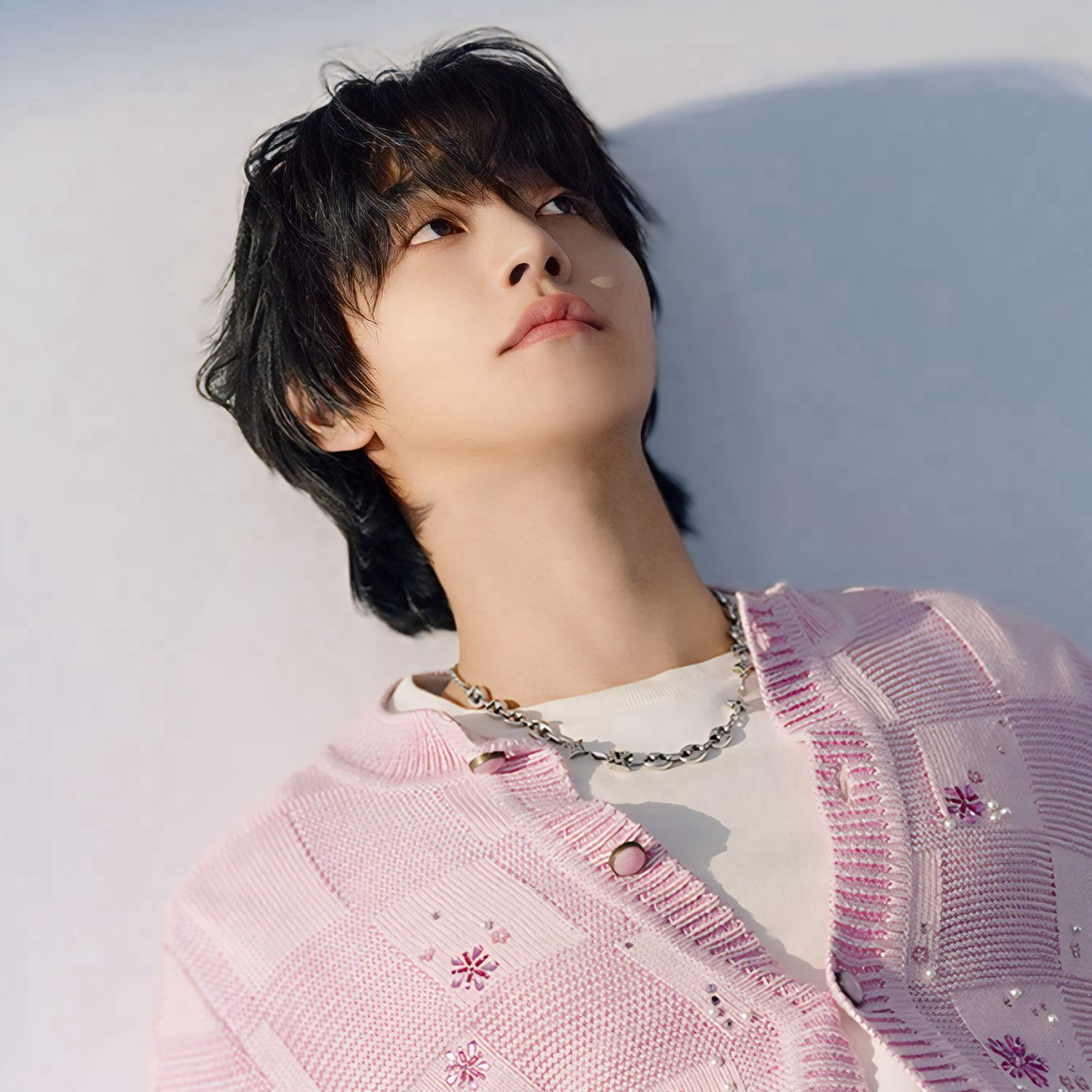 安孝燮的幕后花絮