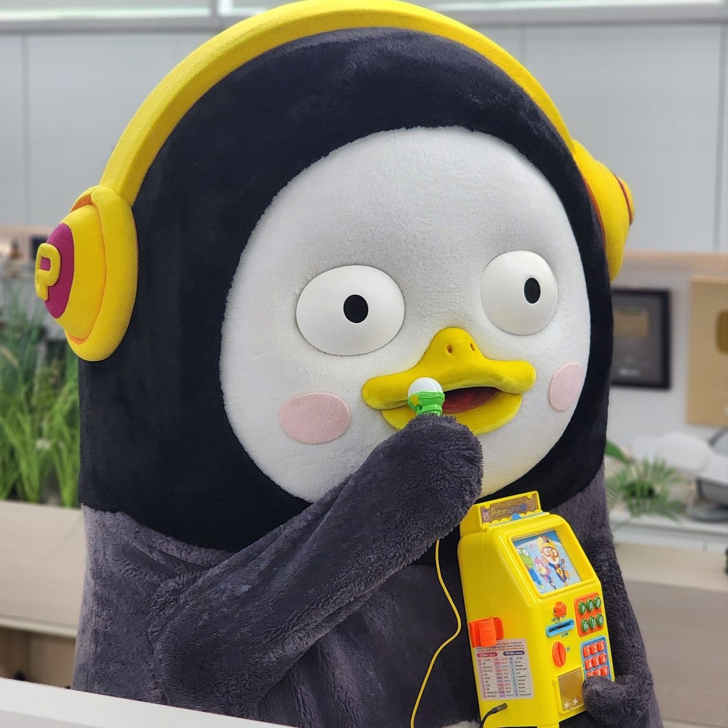 朋秀的近期活動照