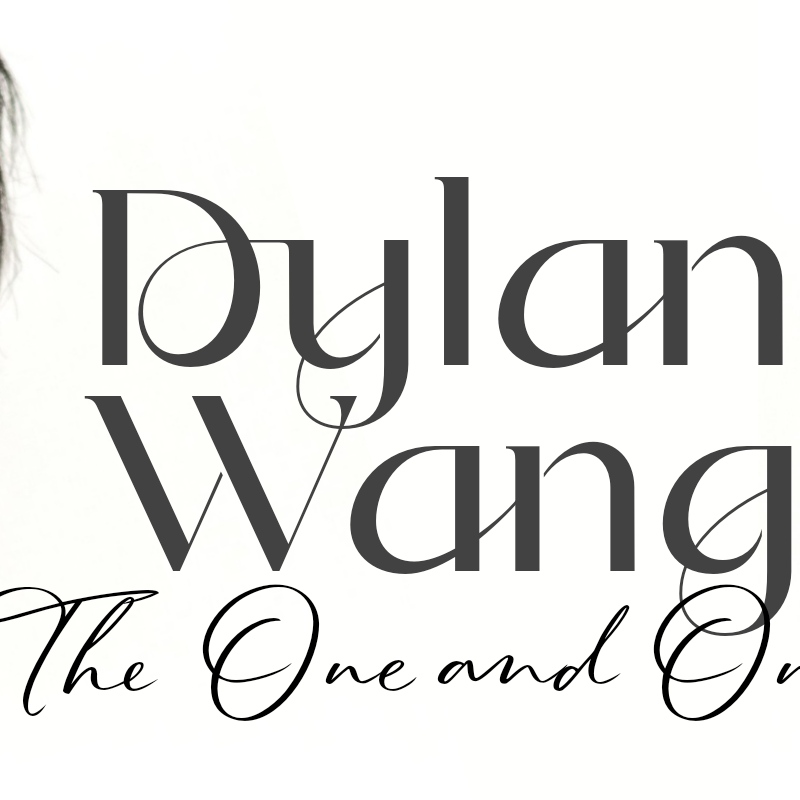 Recent activity shot of Dylan Wang
