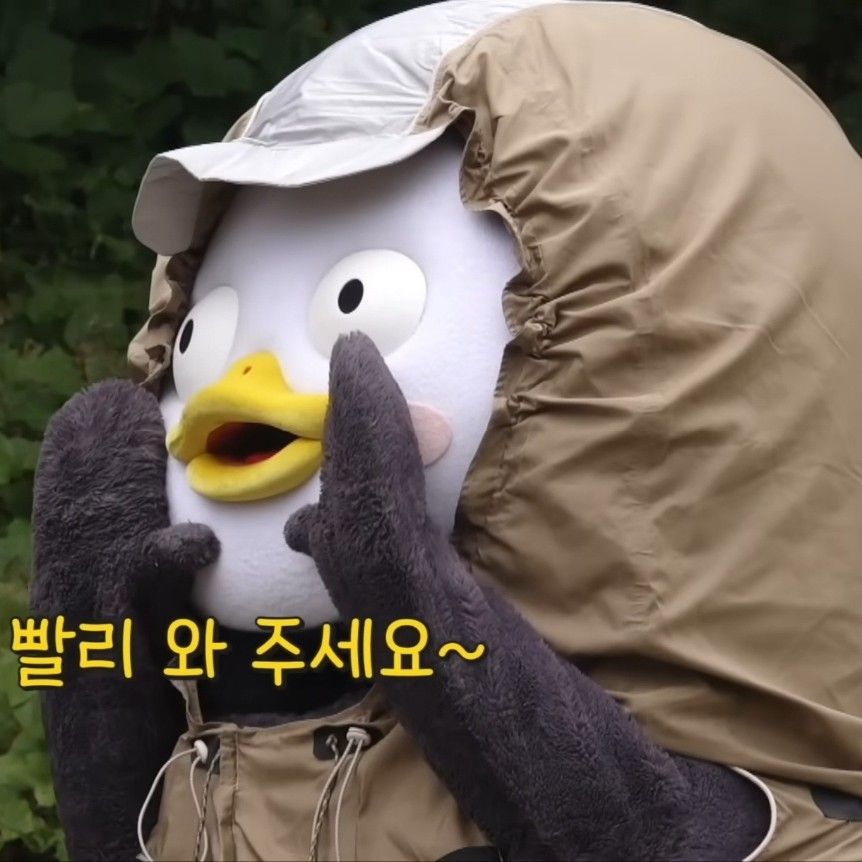 Momen yang diabadikan oleh penggemar Pengsoo