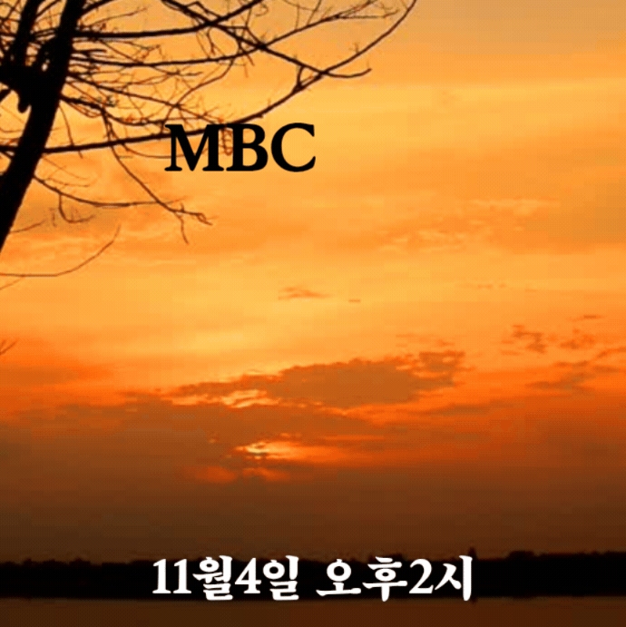 A moment captured by a fan of YOYOMI