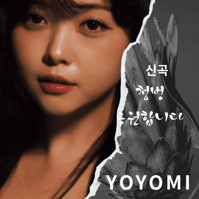 A moment captured by a fan of YOYOMI