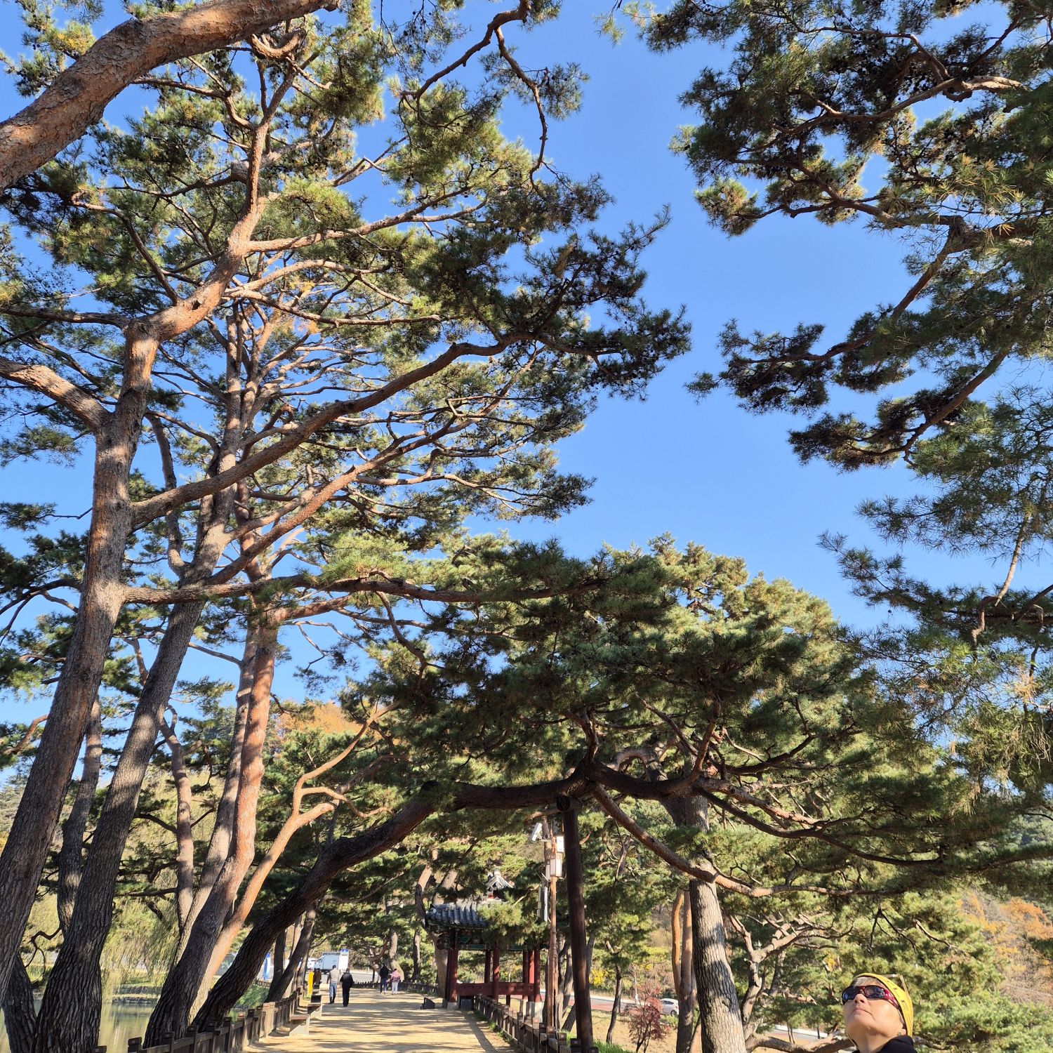 Recent activity shot of Jung Seojoo