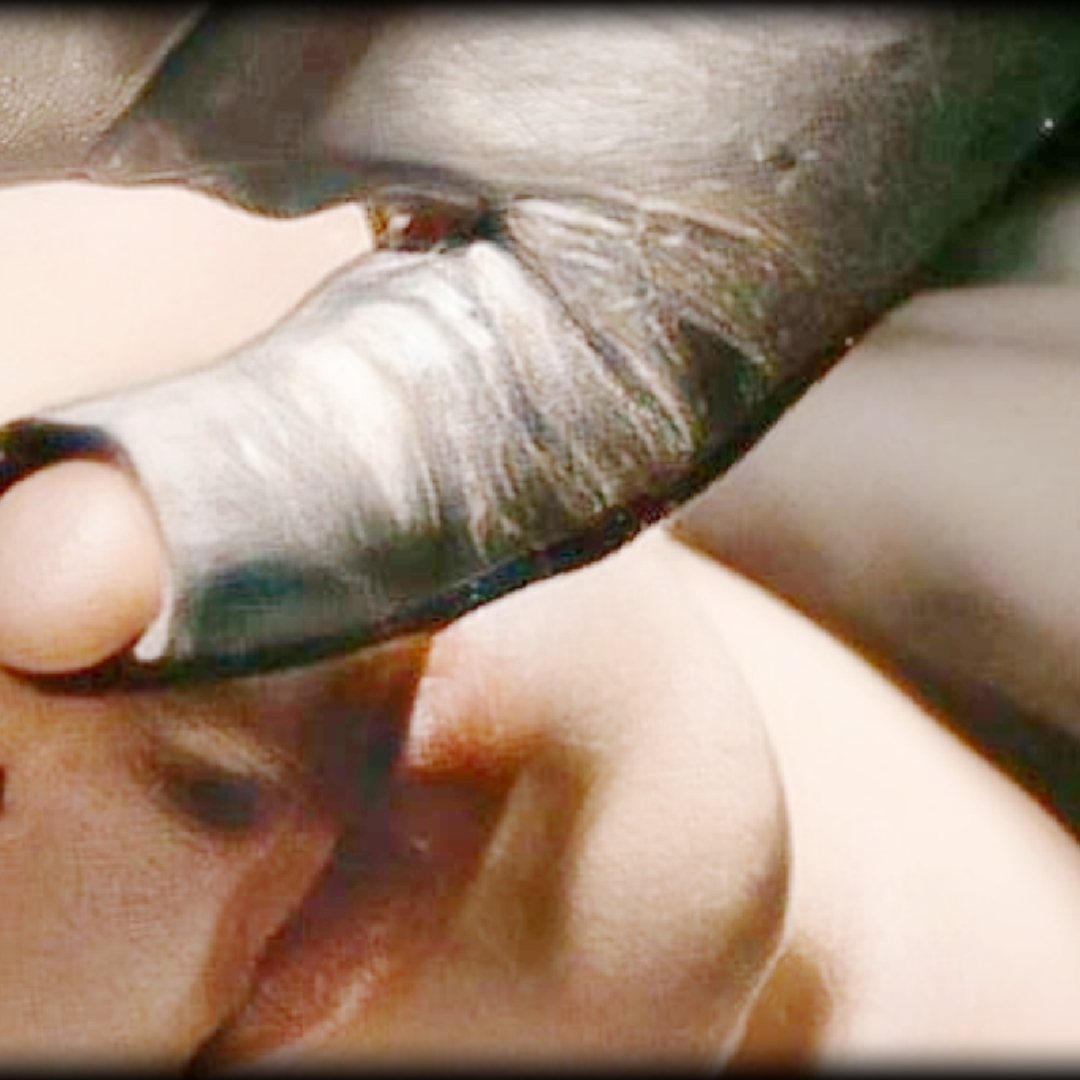 A moment captured by a fan of Dylan Wang