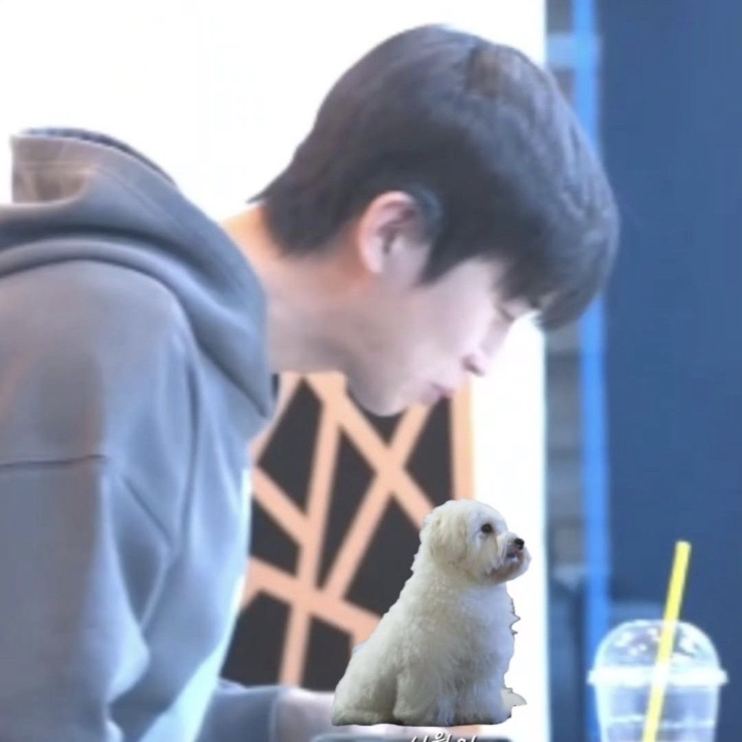 임영웅의 비하인드 컷