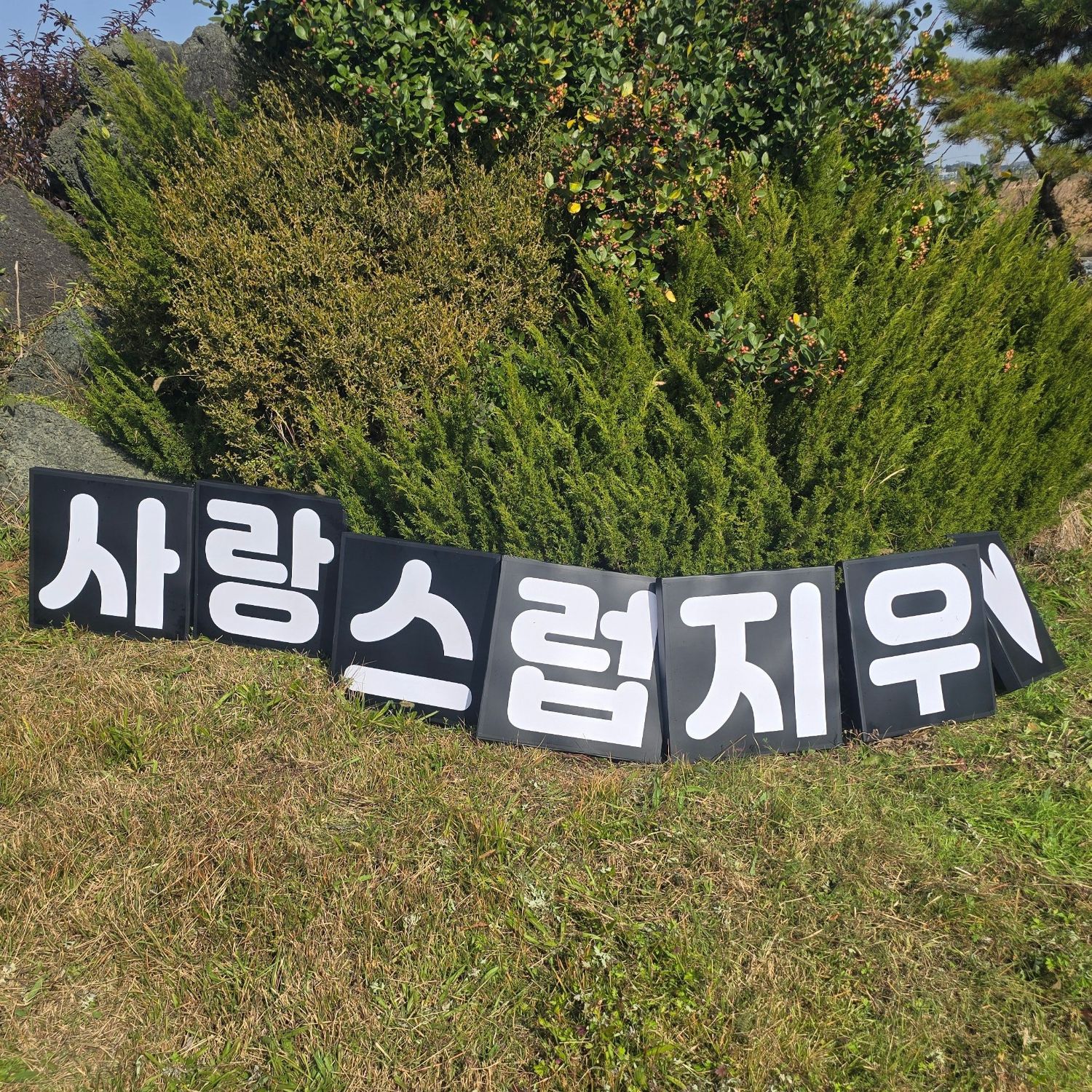 Behind-the-scenes cut of You Jiwoo