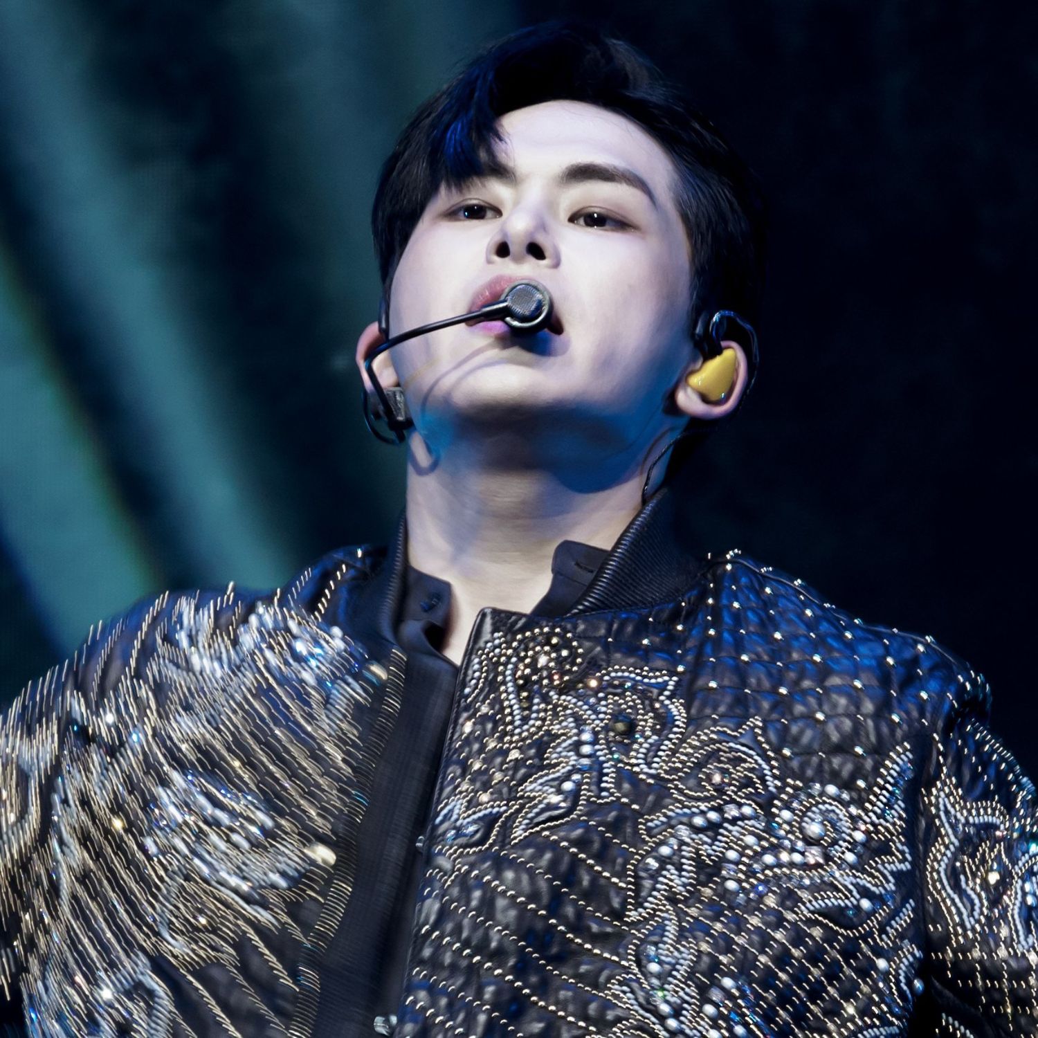A moment captured by a fan of Hoya