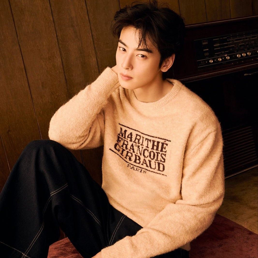 A moment captured by a fan of Cha Eunwoo