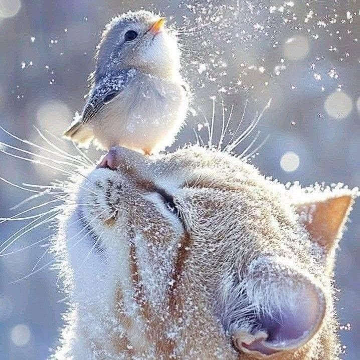 Latest photo of Lee Joongi