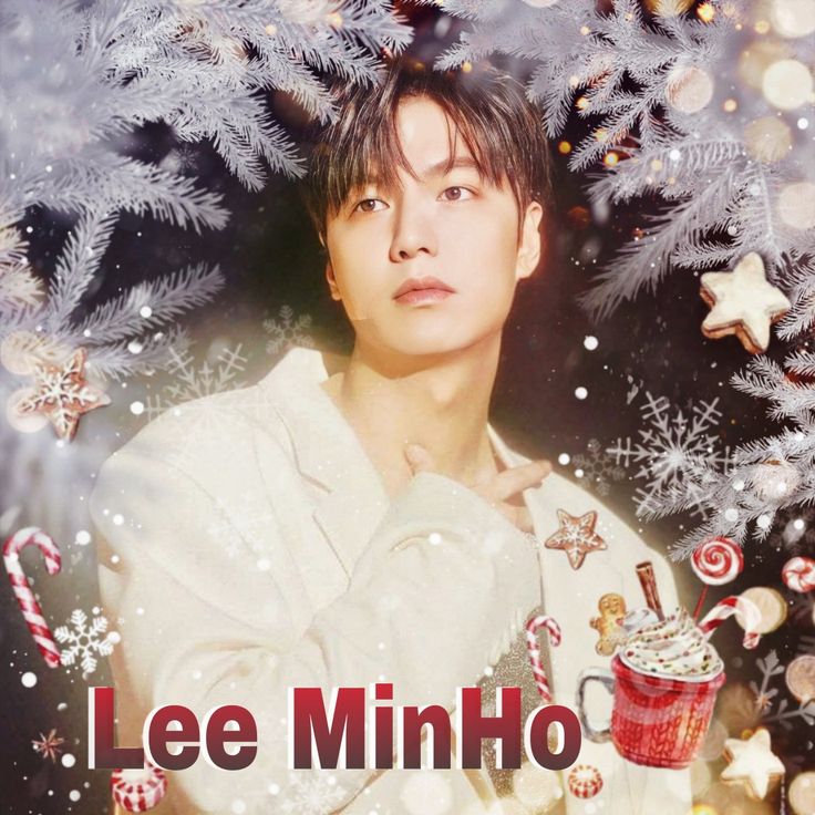 李敏镐的幕后花絮