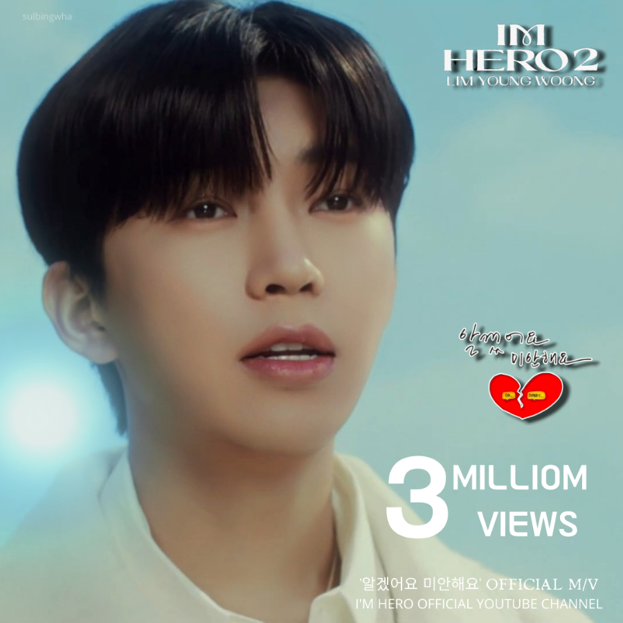 임영웅 팬이 찍은 순간