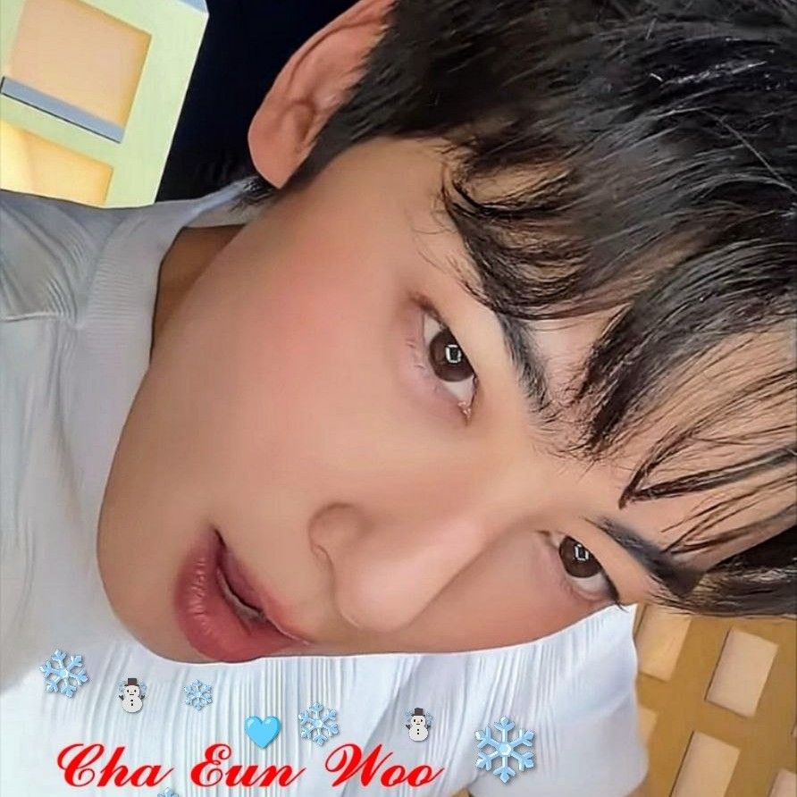 A moment captured by a fan of Cha Eunwoo