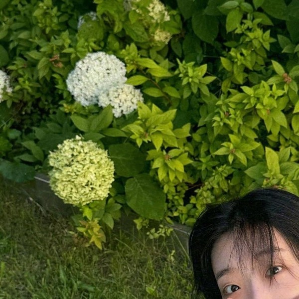 Popular profile photo of Ryu Dain loved by fans