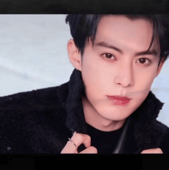 A moment captured by a fan of Dylan Wang