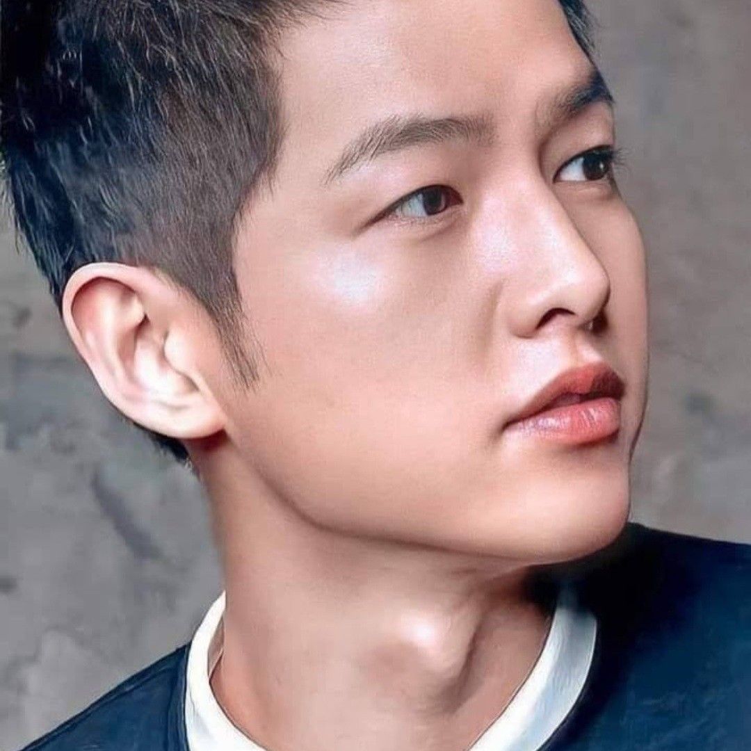 송중기 팬이 찍은 순간