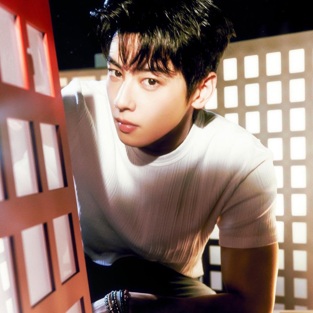 粉絲拍下的車銀優瞬間