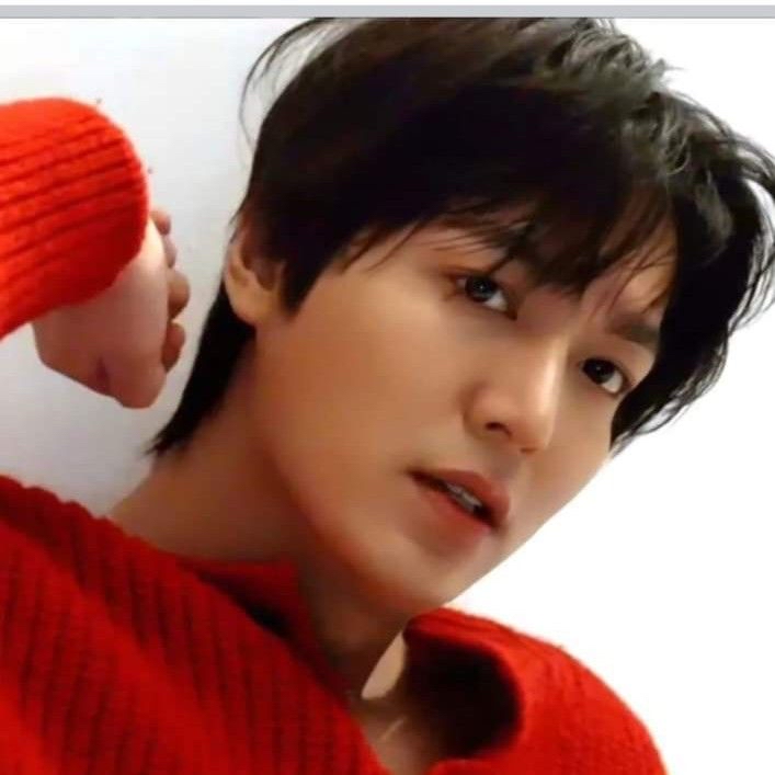 李敏镐的幕后花絮