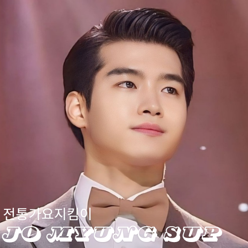 조명섭 팬이 찍은 순간