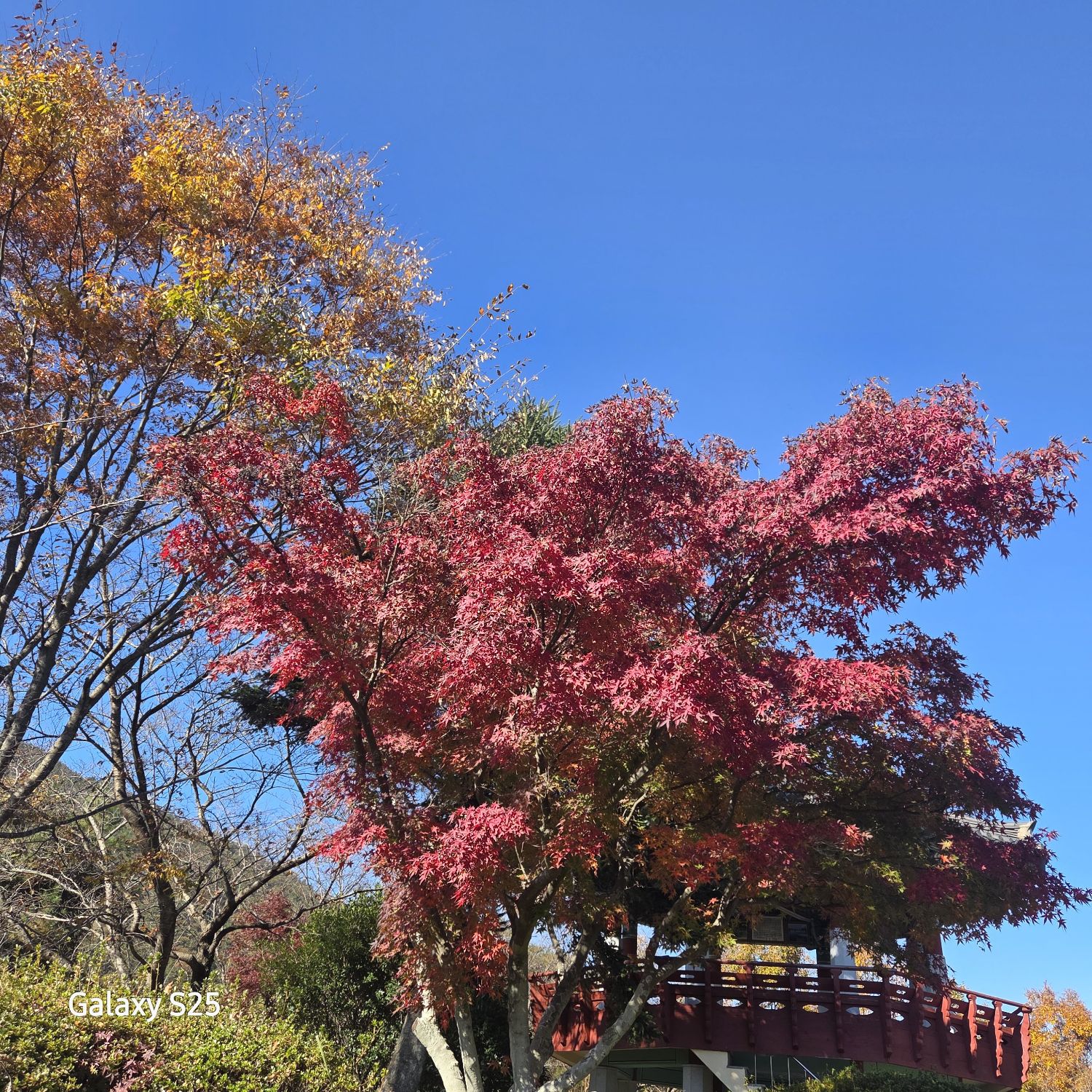 Foto kegiatan terbaru dari Jang Minho