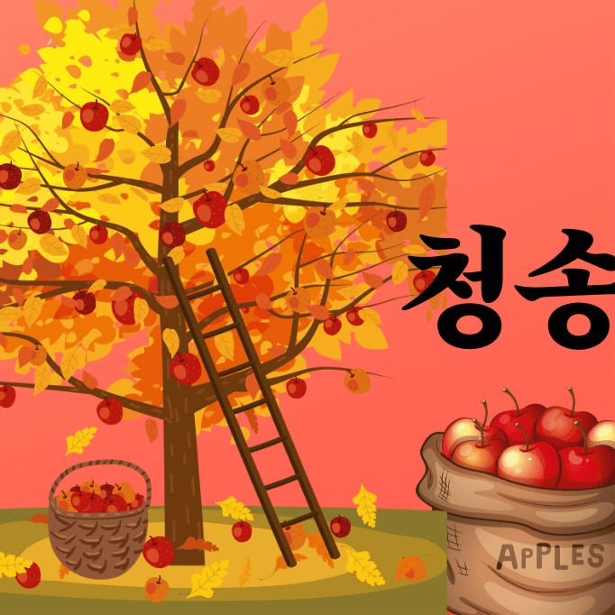 A moment captured by a fan of YOYOMI