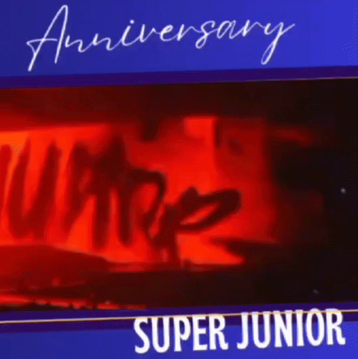 A moment captured by a fan of Choi Siwon