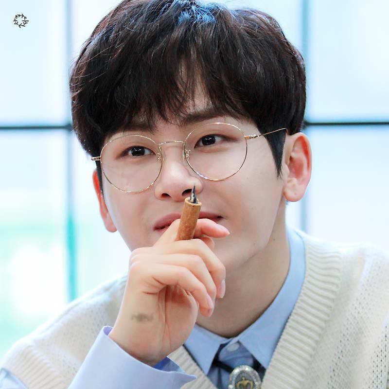 Recent activity shot of Hoya