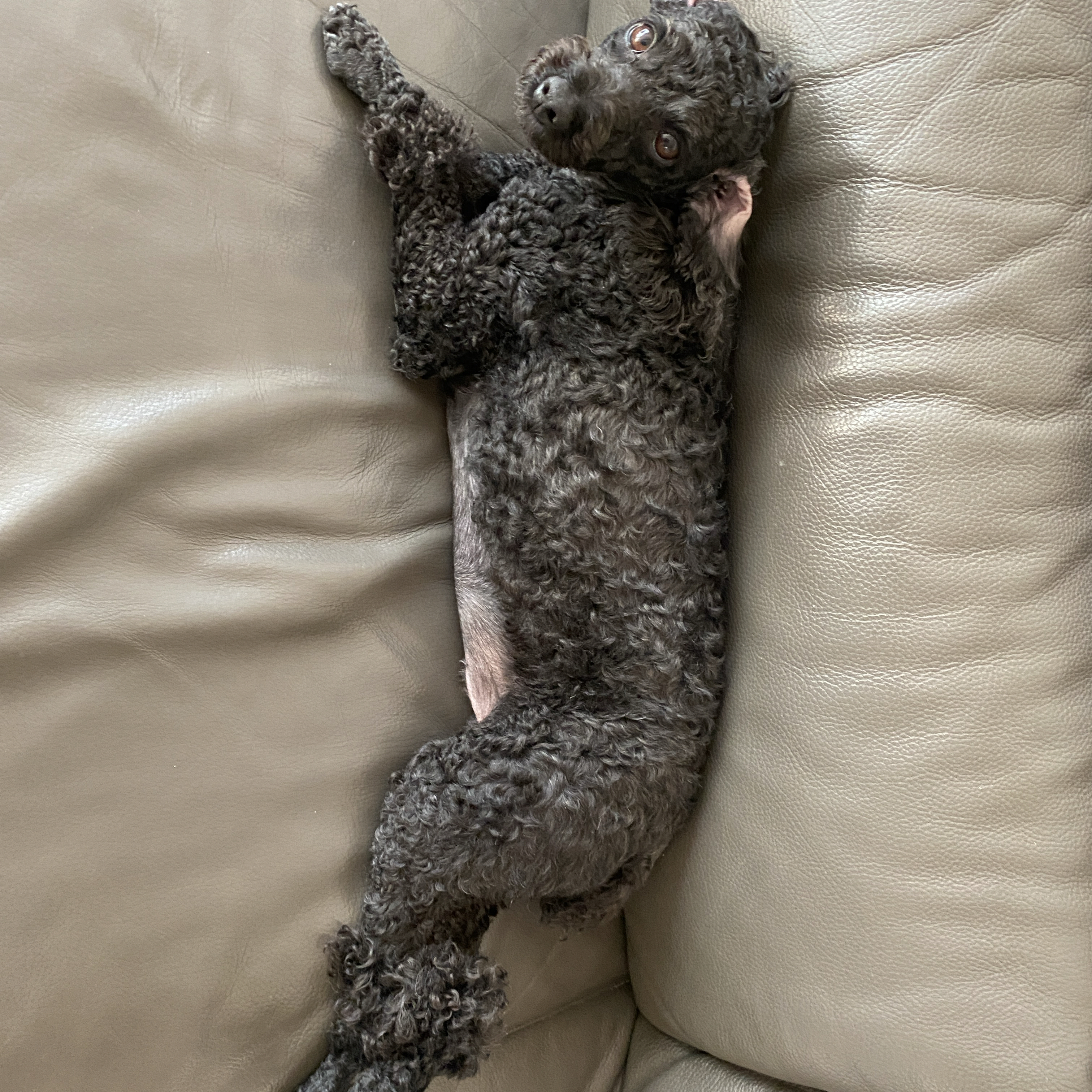 Recent activity shot of Park Seojin